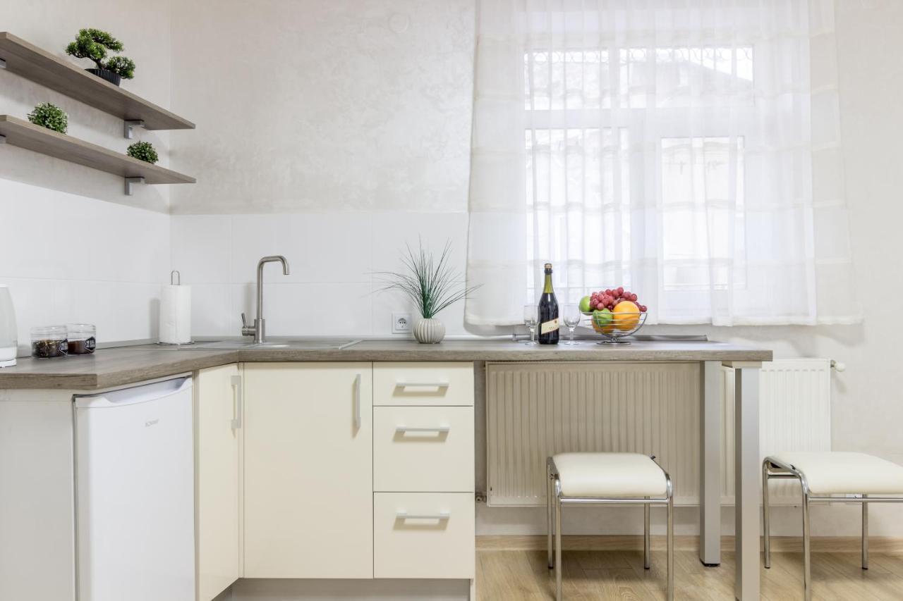 City Center Vip Studio Apartment リヴィウ エクステリア 写真